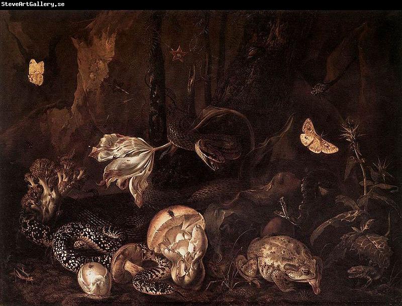 Otto Marseus van Schrieck Still life with Insects and Amphibians